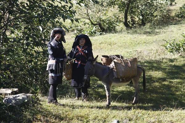 《俐侎阿朵》上映时间与剧情介绍