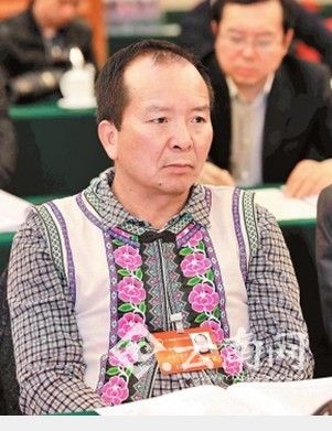 [代表建议]杨甫旺代表:扶持彝族医药事业发展