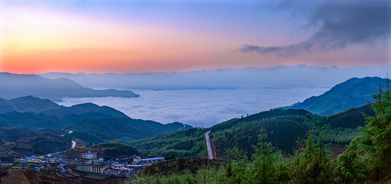 绿色家园 绿色家园
