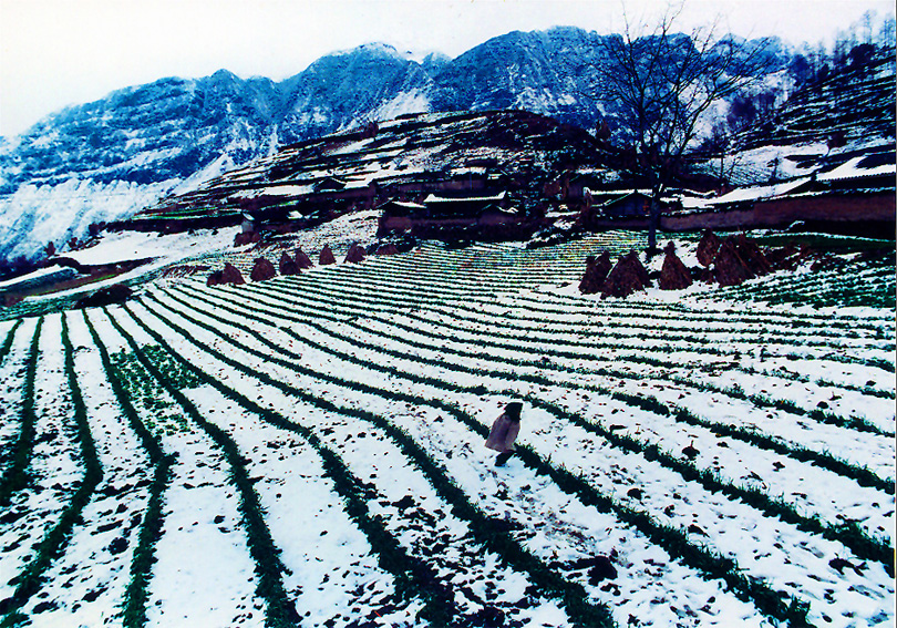 雪原村寨 雪原村寨