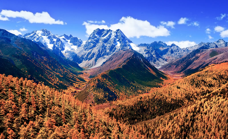 白马雪山 白马雪山